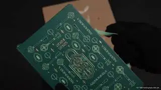 Harry Potter Spells Collection by Moleskine