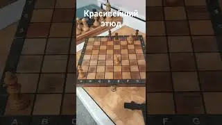 #шахматы #мысли #задача