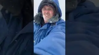 перегон скота на летние пастбища