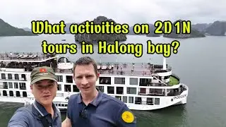🌊 What to do in the UNBELIEVABLE 2D1N Cruise in Halong Bay?