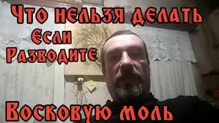 Что нельзя делать если разводите Восковую моль! Ну и немного о Ковиде.
