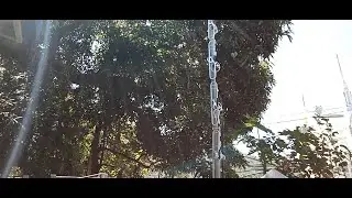 Folded dipole 420-450Mhz