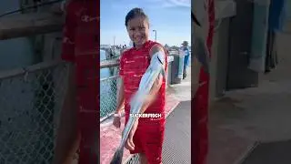 The most useful fish in the sea 🤯 