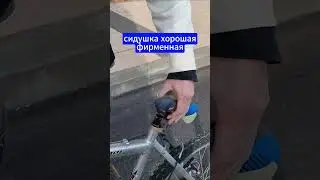 НАШЕЛ ВЕЛИК в Израиле