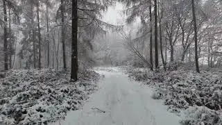 Morning Relaxing Music - Nature Relaxation Film 4K Relaxing Music