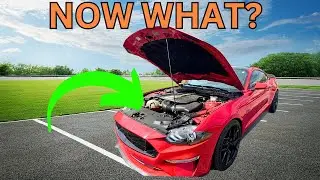 I Found THIS In My Mustang...