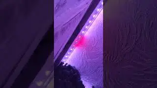 Что это?!