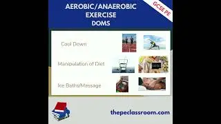 AQA GCSE PE DOMS
