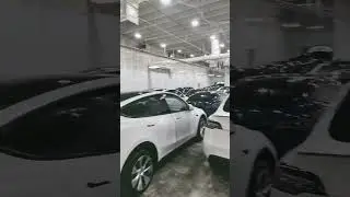#tesla
