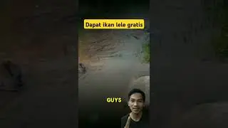Ikan masuk pemukiman #viralvideo #shortsviral #fish #fishing #ikan #mancing