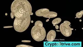 Best Cryptocurrency Exchange Platform / cryptostrive.com