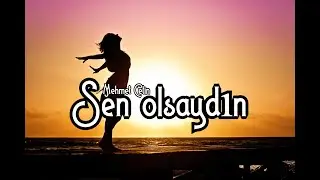 Mehmet ÇETİN ' Sen olsaydın '