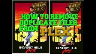 Remove duplicates files from your Plex