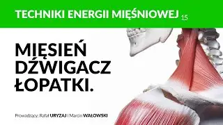 Mięsień dźwigacz łopatki. Terapia i autoterapia. Techniki energii mięśniowej. Odcinek 15