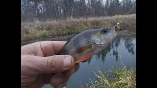 Рыбалка на озере.  Боковой кивок рулит. Окунь щука на мормышку.