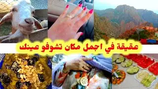 #حضرو_معيا_مناسبة_في أجمل_مكان✅/نشطنا💯/فوجنا💯/فيرما_في بلاد راجلي✅/تامازيرت❤️