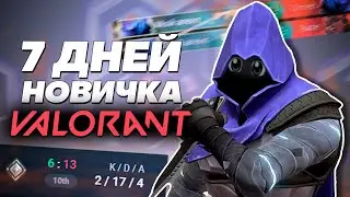 7 DAYS OF VALORANT Rookie