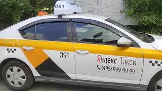 Лайтбокс Яндекс такси для шкода октавиа