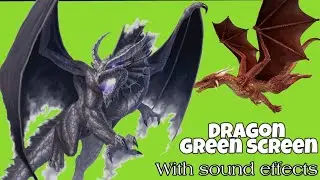 Dragon green screen hd chroma with sound effects
