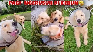 SNOWA NGAJAK CUCU²NYA BERKEBUN, BIKIN TANAMAN RUSAK 🤣