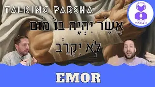 Parashat Emor: No equality in the Mikdash?? (Talking Parsha - Emor)