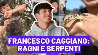 Francesco Caggiano: Come farsi mordere da una vipera!