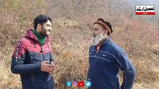 preparation for tulips in Kmr involves preparing the land, removing weeds, and designing the garden