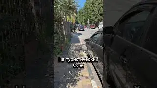 Отпуск 2024.Не туристический Сочи. Кадры дня21.08.2024 #short #shorts#кадрдня #туристы #сочисегодня