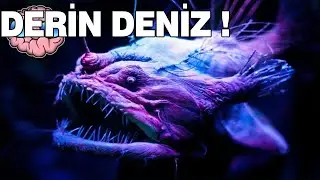 THERE'S ONLY ONE PHOTO / 10 SCARIEST SEA CREATURES YOU'VE NEVER HEARD OF!! 2021 CURRENT INFORMATION