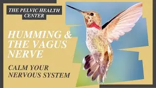 Humming & The Vagus Nerve