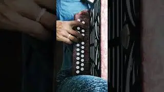 НА ГАРМОНИ КРАЙ БЕРЕЗОВЫЙ #кариммуратов #баянпобратски