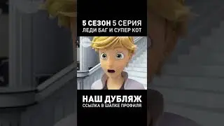 ПРОФ. ДУБЛЯЖ ЛЕДИ БАГ И СУПЕР КОТ ● 5-ый Сезон 