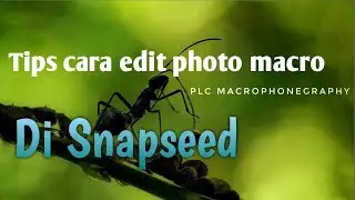 Tips Cara edit photo Macro di Snapseed | PLC Macro