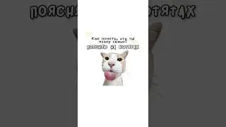 How do you know if you're a disgrace to your family?