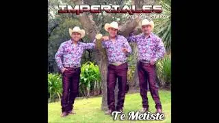 TRIO IMPERIALES DE LA SIERRA, EL CARNAVALITO (C-D 2016)