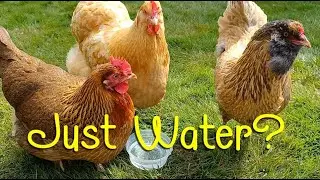 Just Water?