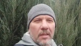 Чувство 