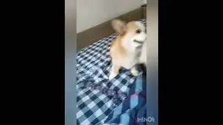 Ванесса нервничает....