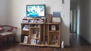 domingo em casa