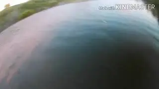 ТАЙМЕНЬ боится! Не удачный выход, УРЮП.