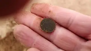 Открытие сезона на пляже!!!