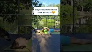 25 июня 2024 г.