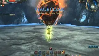C9 - Elementalist  Fury Formation Ultimate Skill - Force of Elementals