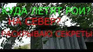 ГДЕ И КАК СТАВИТЬ ЛОВУШКИ ДЛЯ РОЁВ ?