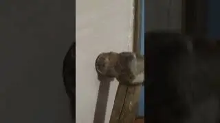 установка двери
