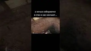 Говорят эти твари стали по ночам на патрули нападать...#stalkershorts#сталкер#stalker#shorts#short