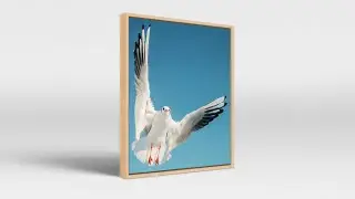 Introducing the Sleek 6mm Floater Frame Basel – Elegant Design, Maximum Impact.