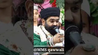 Mein Hu Husain #shorts #shortvideo MMS qawwali #anisnawab