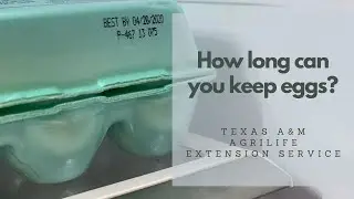 Understanding the Dates on Food Labels: How longs can you keep eggs?