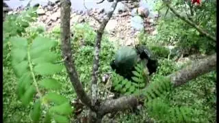 История отечественного военного альпинизма   2 2012
